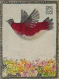  Mildebergius: Onni		