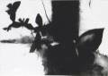 Tiina Kivinen: Sarjasta Close your eyes and a second goes by 6		