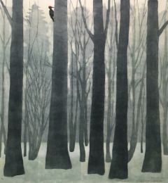 Outi Kirves: Palokärki