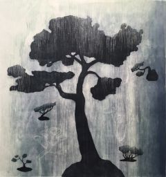 Outi Kirves: Sadekuuroja