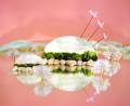Laura Konttinen: The Island of No Memory		