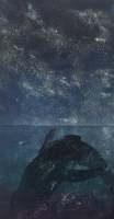 Sari Bremer: Stars and Shadows		