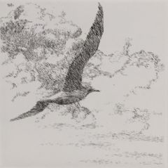 Marjatta Nuoreva: Lintuballadi