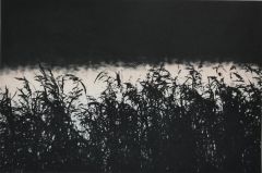 Janne Laine: Nocture II