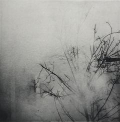 Janne Laine: Relevation