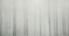 Janne Laine: Oblivion