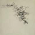 Tiina Kivinen: Forest Notes		