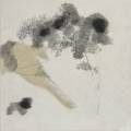Tiina Kivinen: Forest Notes III		