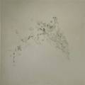Tiina Kivinen: Forest Notes		