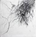 Tiina Kivinen: Forest Notes IV		