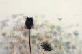 Janne Laine: Meadow I		