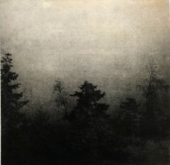 Janne Laine: Usva