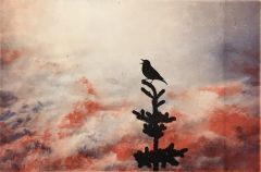 Janne Laine: Soolo IV