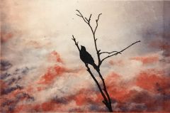 Janne Laine: Soolo III