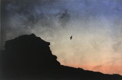 Janne Laine: Towards home