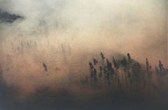 Janne Laine: Muutoksen tuulet