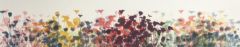 Janne Laine: Rainbow meadow