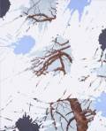 Pekka Parviainen: Roots and Branches		