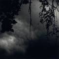 Janne Laine: The Final Hour IV		