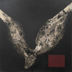 Virve Lilja: Siivet