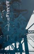 Jani Tolin: Elevated 1		