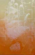 Jani Tolin: Transition 1		