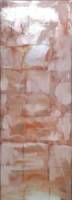 Riikka Soininen: Coral		