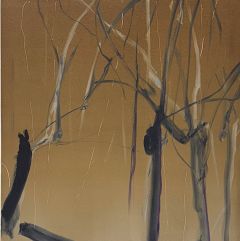 Tiina Kivinen: 