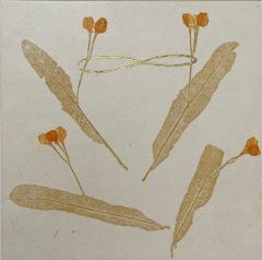 Pälvi Hanni: Voimaa ja valoa